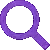 Search Icon